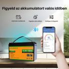 Eco-Worthy 12V 150Ah LiFePO4 lithium iron phosphate battery with Bluetooth function - Deep cycle battery for solar systems, RVs, and off-grid applications