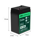 AGM VRLA wartungsfreier Bleiakku / Akku 6V 5Ah AGM11 für Alarmanlagen, Registrierkassen, Spielzeuge