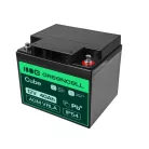 AGM VRLA wartungsfreier Bleiakku / Akku 12V 40Ah AGM22 für Boote, Scooter, Elektrofahrzeuge, Spielzeuge