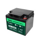 AGM VRLA wartungsfreier Bleiakku / Akku 12V 44Ah AGM23 für Boote, Scooter, Elektrofahrzeuge, Spielzeuge