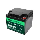 AGM VRLA wartungsfreier Bleiakku / Akku 12V 44Ah AGM23 für Boote, Scooter, Elektrofahrzeuge, Spielzeuge