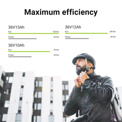 Electric bicycle battery / accu 36V 12Ah 432Wh Rear Rack E-Bike Pedelec, with network charger, EBIKE51STD