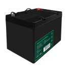 AGM VRLA wartungsfreier Bleiakku / Akku 12V 55Ah AGM49 für Boote, Scooter, Elektrofahrzeuge, Spielzeuge