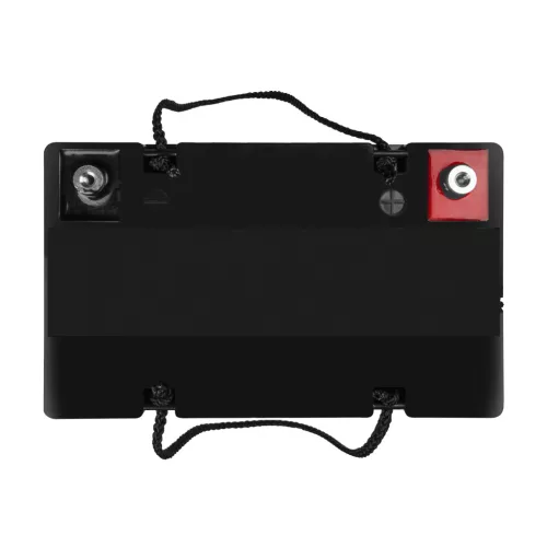 AGM VRLA wartungsfreier Bleiakku / Akku 12V 55Ah AGM49 für Boote, Scooter, Elektrofahrzeuge, Spielzeuge