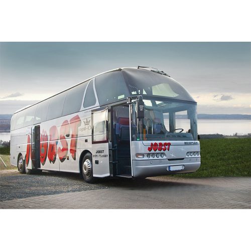 DC/DC Voltage Converter IVT 24 V/12 V, 20 A