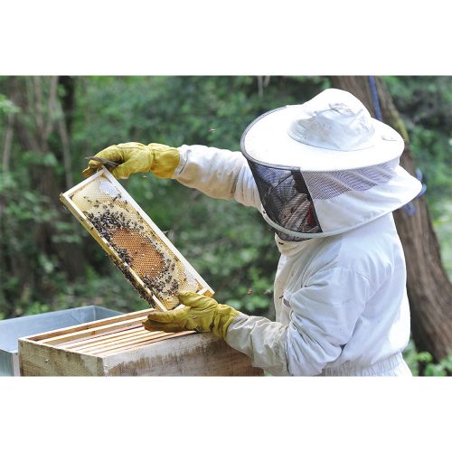 Portable Power Station IVT PS-600, 600W