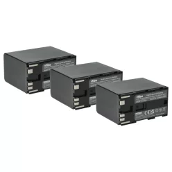 VHBW Videokamera Akku BP-975 - 6600 mAh 7,4 V Li-Ion