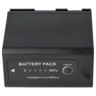 VHBW Videokamera Akku BP-975 - 6600 mAh 7,4 V Li-Ion