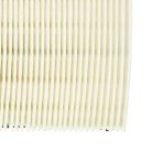 VHBW 1x Festool CTL 26 E AC, CTL 36 E AC Főszűrő