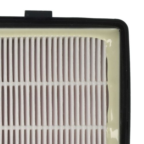 VHBW 1x Rowenta RS-RT4310 EPA Filter Auslass