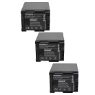 VHBW Videokamera Akku BP-827, BP-820, BP-828, 2740B002 - 2670 mAh 7,2 V Li-Ion