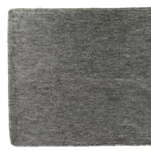 VHBW Miele 5797941, DKF10 Active Carbon Filter - 30 x 20.8 x 2 cm