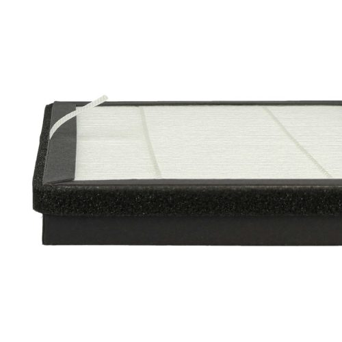 VHBW Rowenta XD6520F0 Légtisztító Szűrő Készlet 2x