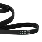 VHBW AEG 125095900/2, 125445200/4, 125024110/4 Hajtószíj - Privileg Szárítógép - 197,5 cm