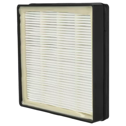 VHBW Vacuum Cleaner Filter Rowenta 2210016094, RS-RT3186 - 2 pcs