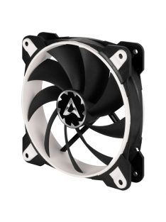 Arctic BioniX F120 Gaming Fan with PWM PST White