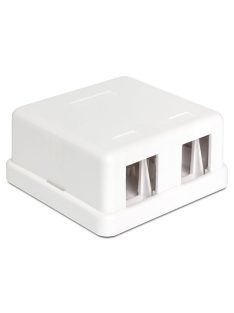 DeLock Keystone Surface Mounted Box 2 Port