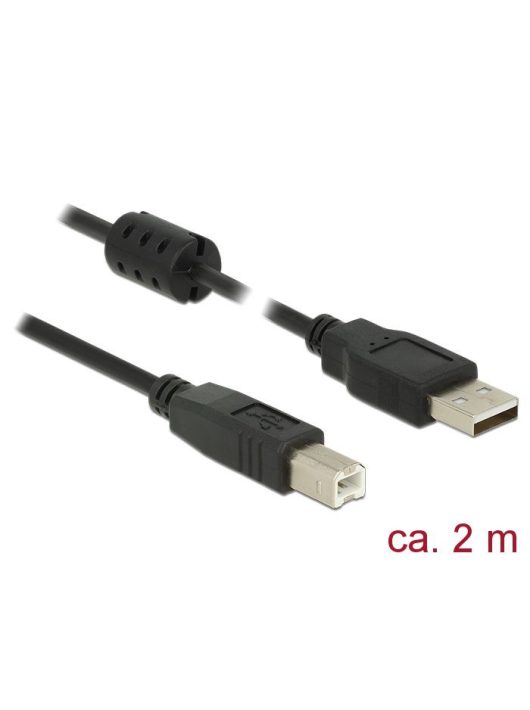 DeLock USB 2.0 Type-A male > USB 2.0 Type-B male cable 2m Black