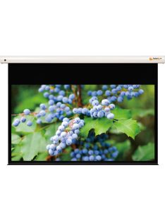   Funscreen Pro Matt White Motor 223x360 cm Format 16:9 Premium Plus SA