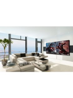   Funscreen Pro Matt White Frame Screen 250x140cm Format 16:9 Premium Plus Zero Edge