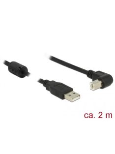   DeLock USB 2.0 Type-A male > USB 2.0 Type-B male angled 2m cable Black