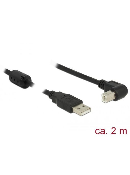 DeLock USB 2.0 Type-A male > USB 2.0 Type-B male angled 2m cable Black