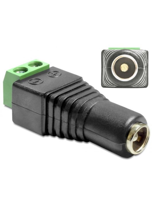 DeLock Adapter DC 5.5 x 2.5mm female > Terminal Block 2pin