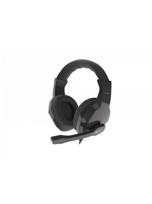 Natec Genesis Argon 100 Gamer Headset Black