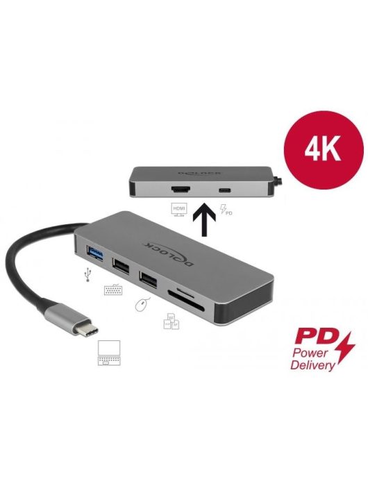 DeLock USB Type-C Docking Station