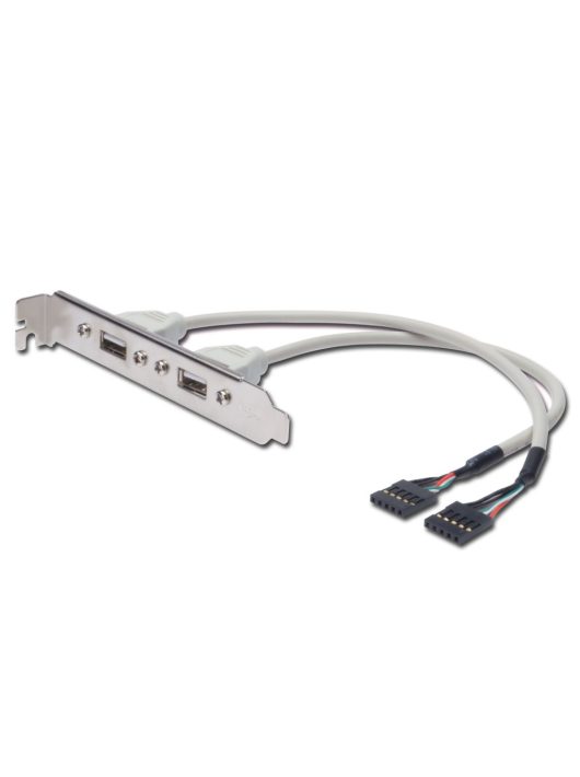 Assmann USB Slot Bracket cable, 2x type A-2x5pin IDC