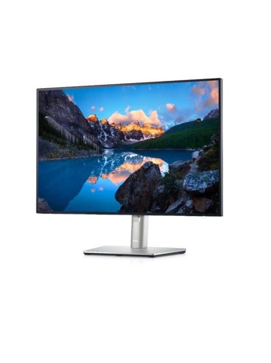 Dell 24,1" U2421E IPS LED