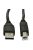 Akyga AK-USB-18 USB 2.0 Cable A-B 5m Black