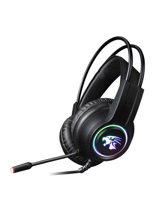 Platinet Omega Varr VH8030 RGB Gaming Headset Black