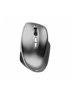 Canyon CNS-CMSW21DG Wireless mouse Dark Gray