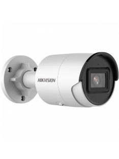 Hikvision DS-2CD2043G2-IU (4mm)