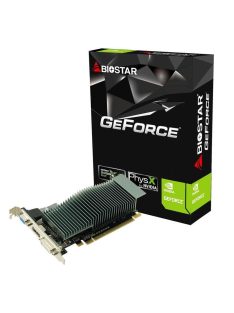 Biostar GeForce 210 1GB DDR3