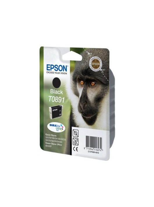 Epson T0891 Black tintapatron