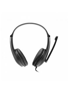 Canyon CNS-CHSU1B Lightweight Headset Black