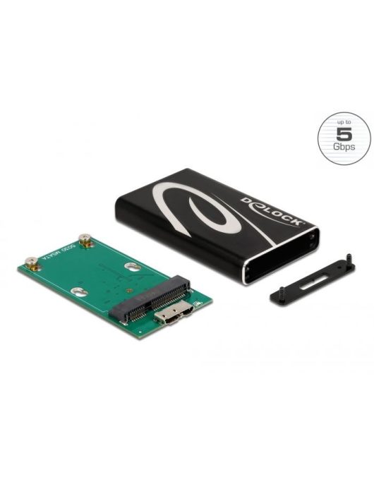 DeLock External Enclosure SuperSpeed USB for mSATA SSD