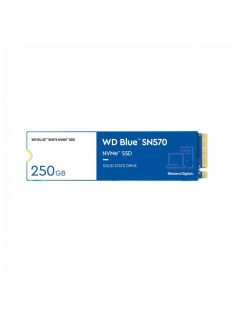 Western Digital 250GB M.2 2280 NVMe SN570 Blue