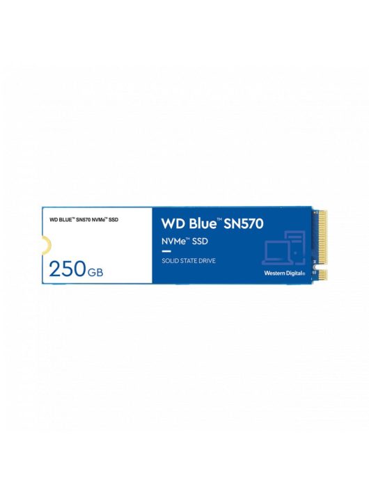 Western Digital 250GB M.2 2280 NVMe SN570 Blue