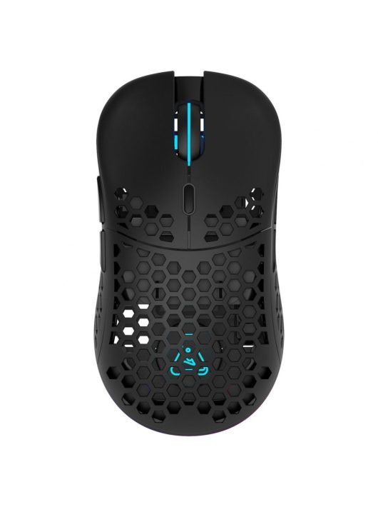 The G-Lab Kult Beryllium mouse Black