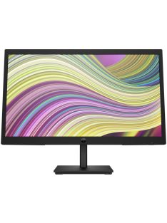 HP 22" P22v G5 LED