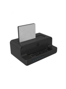 Raidsonic Icy Box IB-2914MSCL-C31 Docking Station Black