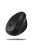 INCA IWM-279 Vertical Wireless mouse Black