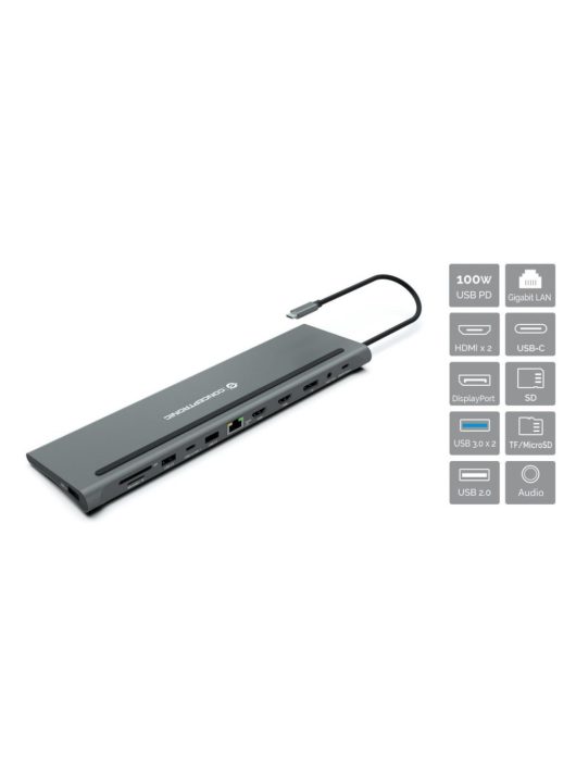 Conceptronic  DONN17G 12-in-1 USB 3.2 Gen 1 Docking Station Grey