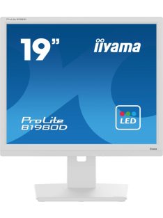 iiyama 19" ProLite B1980D-W5 LED