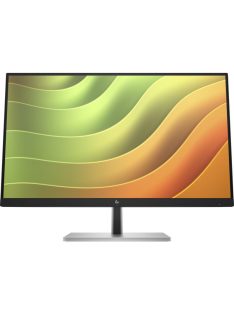 HP 23,8" E24u G5 IPS LED