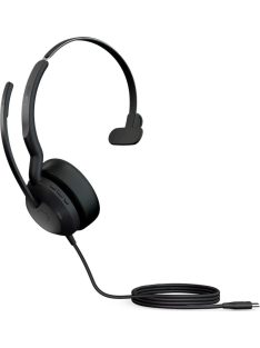 Jabra Evolve2 50 USB-A MS Mono Bluetooth Headset Black