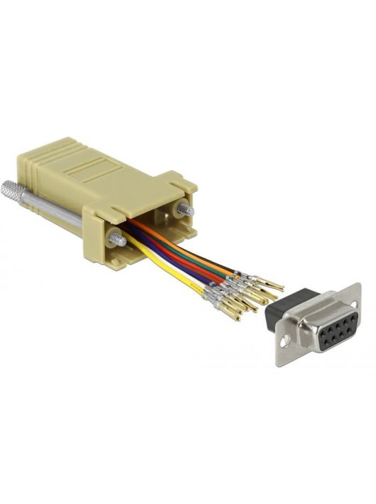 DeLock D-Sub 9 pin female to RJ45 female adapter Beige